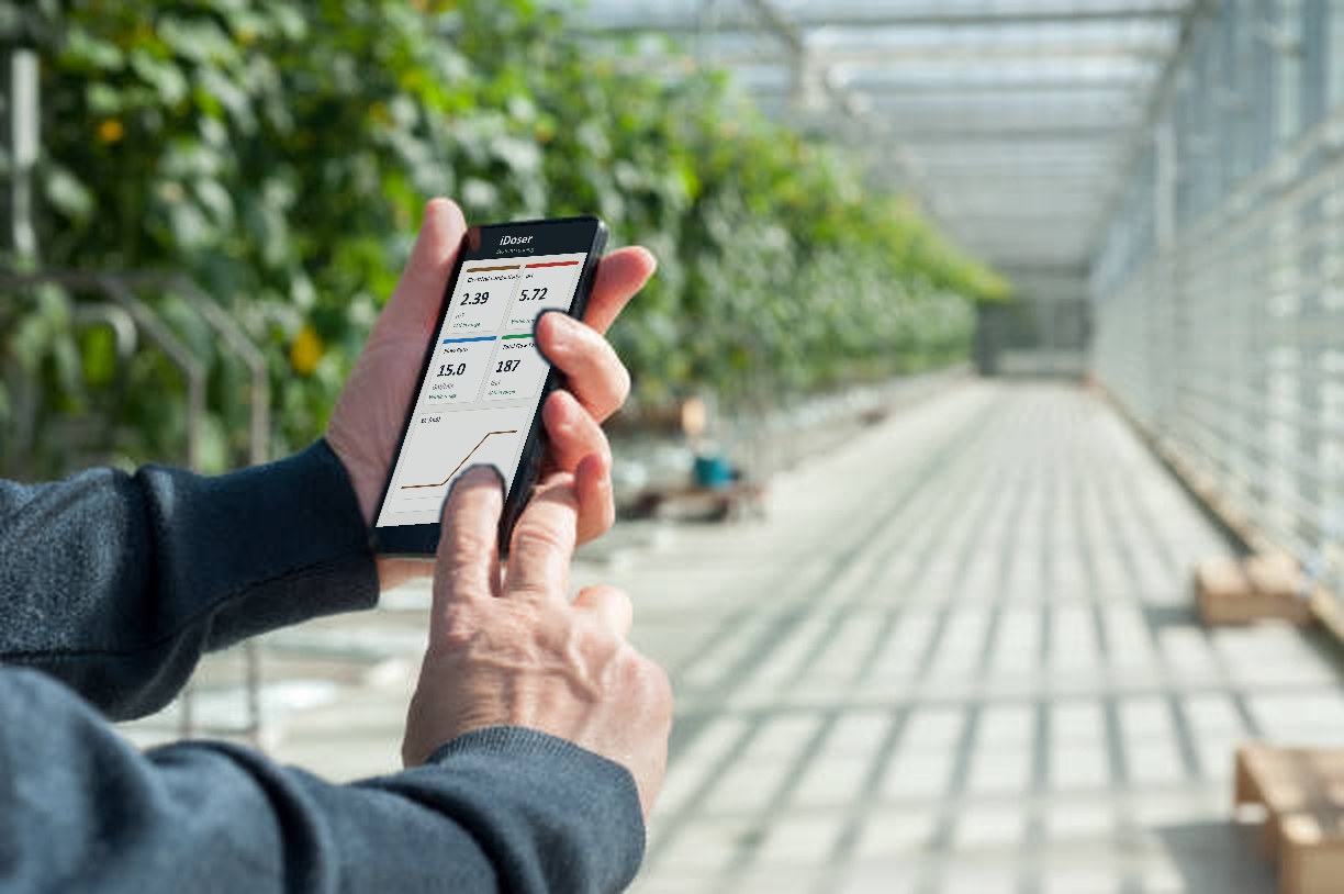 A grower's hands holding a phone at the head of a commercial glasshouse aisle, the iDoser dashboard on screen showing EC 2.39 mS, pH 5.72, flow 15.0 gallons a minute and 187 gallons today, with trellised crop rows and a concrete path behind